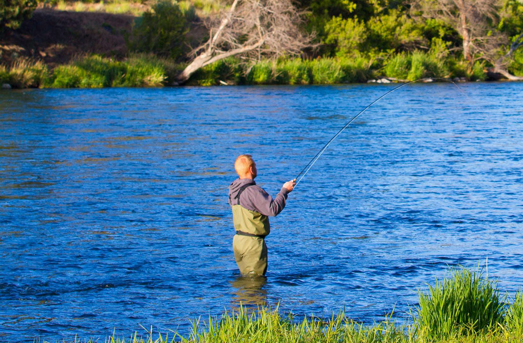 Long Tail Skwala Stone - Squalla Stonefly Dry Fly - 12 Flies Hook Size 10