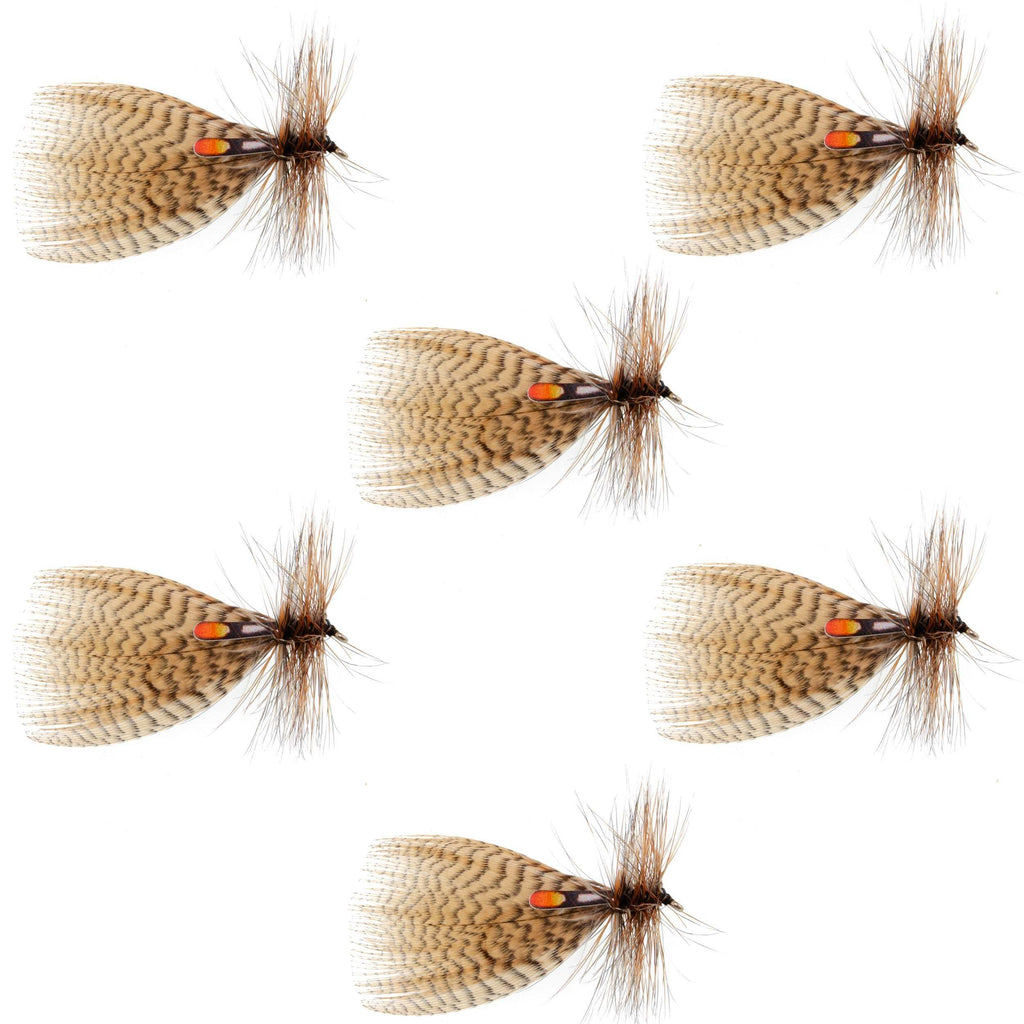 Hornberg Special Streamer or Dry Fly - 6 Flies - Hook Size 10