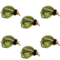 Bead Head LaFontaine Olive Deep Sparkle Caddis Pupa - 6 Flies Hook Size 14