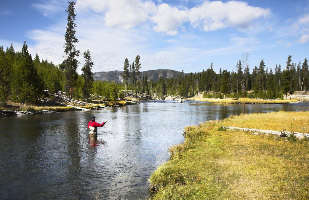 3 Pack CDC Baetis Emerger BWO Wet Fly Fishing Flies - Hook Size 14