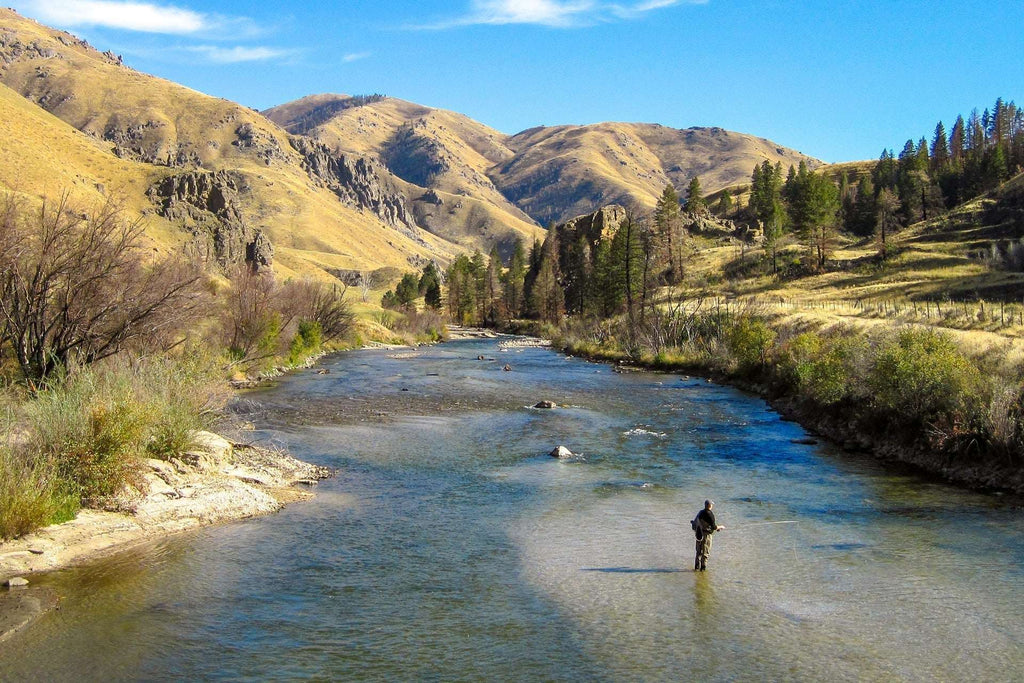 Bead Head Olive Brown Caddis Larva Nymph 12 Flies - Hook Size 14