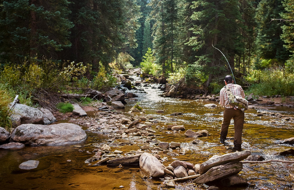 Red Zebra Sakasa Kebari - 12 Tenkara Flies - Size 16
