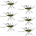 Barbless Pat's Rubber Legs Tungsten Black/Chartreuse Euro Nymph 6 Flies #6