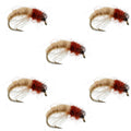 Bead Head Tan Brown Caddis Larva Nymph 6 Flies Hook Size 14