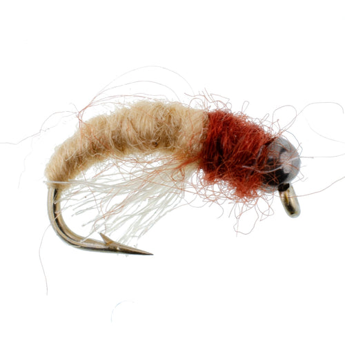 3 Pack Bead Head Tan Brown Caddis Larva Nymph Hook Size 16