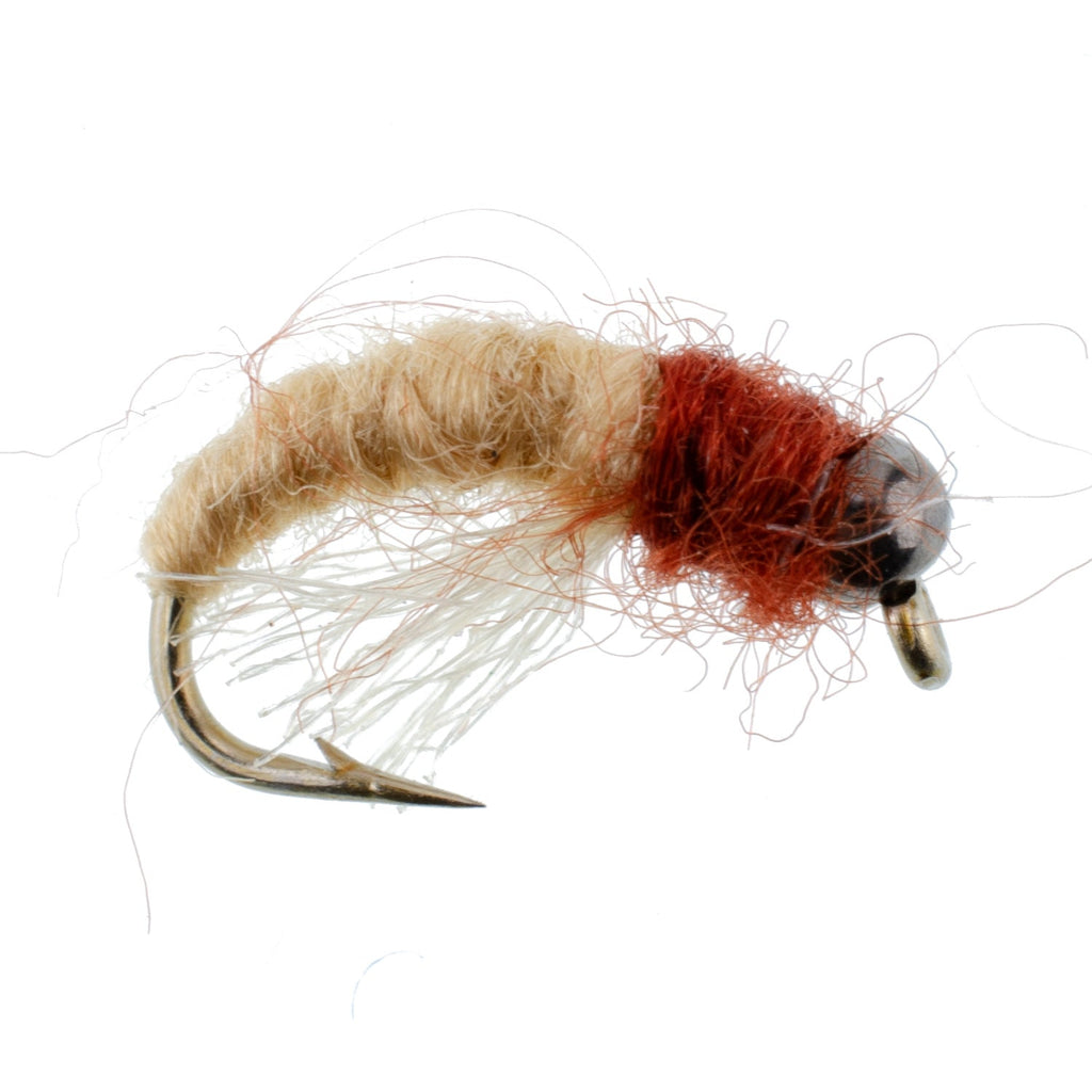 Bead Head Tan Brown Caddis Larva Nymph 6 Flies Hook Size 14