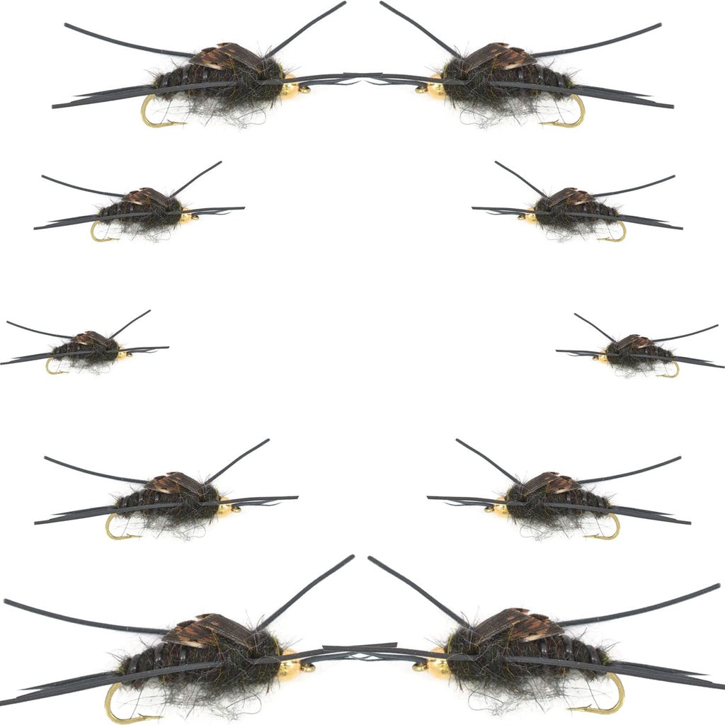 Basics Collection - Kaufmann's Tungsten Black Stonefly Kit 10 Flies #4-12