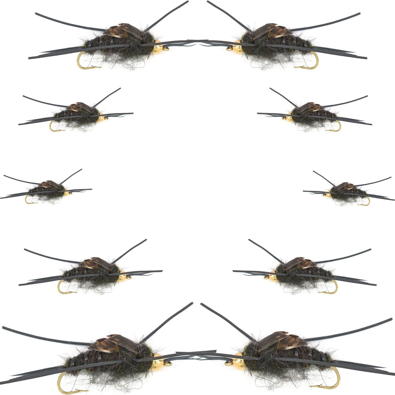 Basics Collection - Kaufmann's Tungsten Black Stonefly Kit 10 Flies #4-12