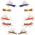 Basics Collection - Chernobyl Ant Hopper Fly Assortment - 10 Flies Size 10