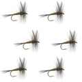 Blue Winged Olive BWO Trout Dry Fly Fishing Flies - 6 Flies Size 20