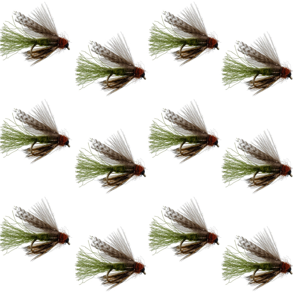 Olive CDC Caddis Emerger 12 Flies Hook Size 14
