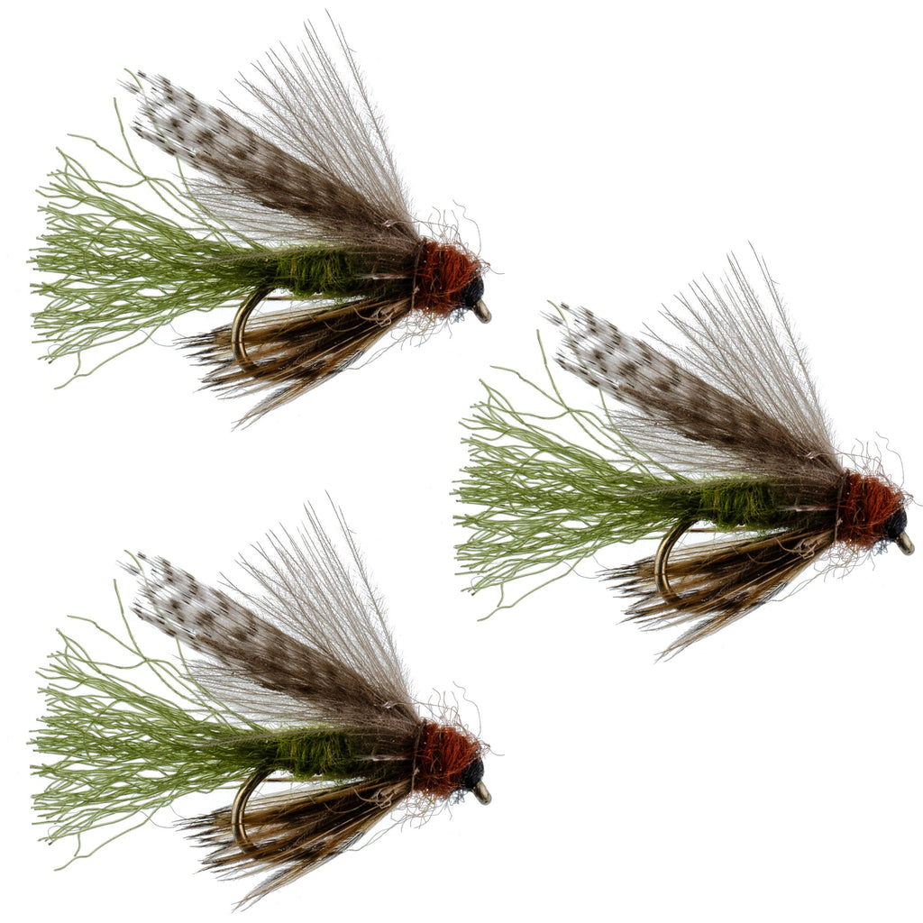 3 Pack Olive CDC Caddis Emerger Flies Hook Size 12