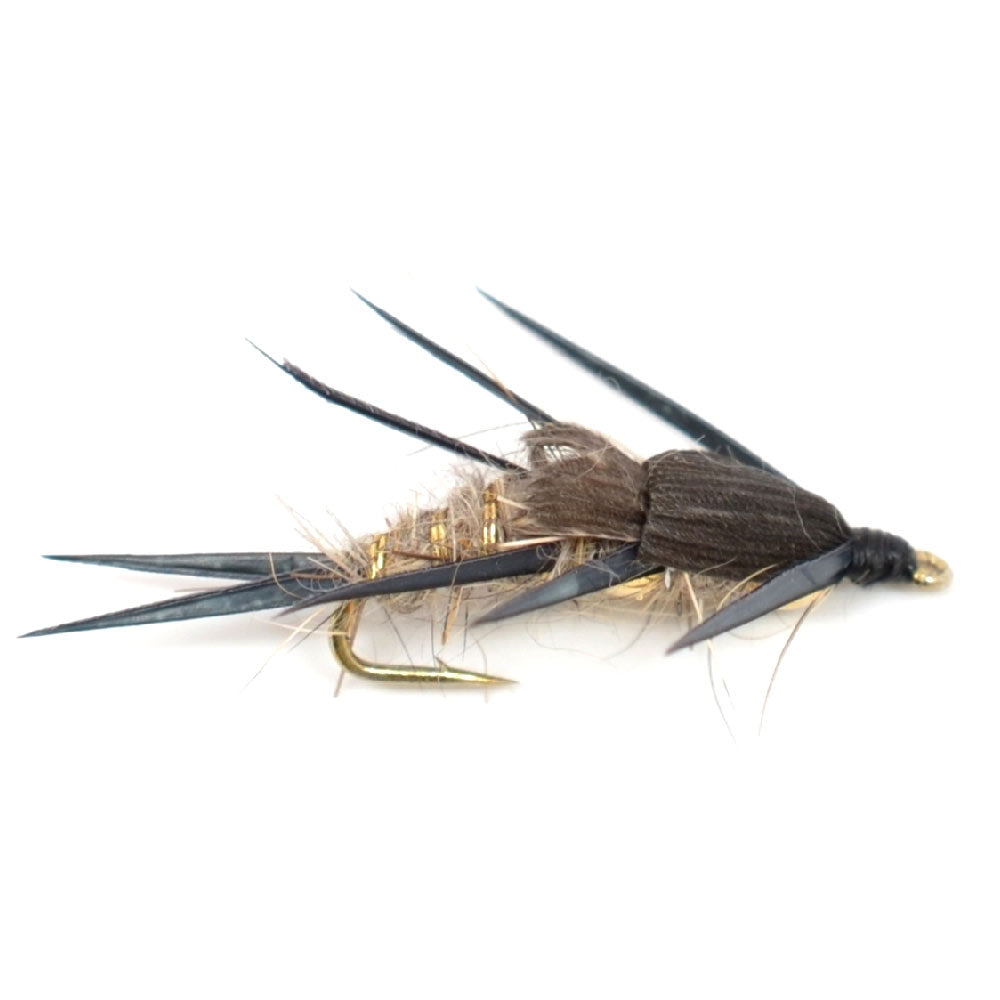 Eastern Trout Fly Assortment - 24 Essential Trout Flies Collection