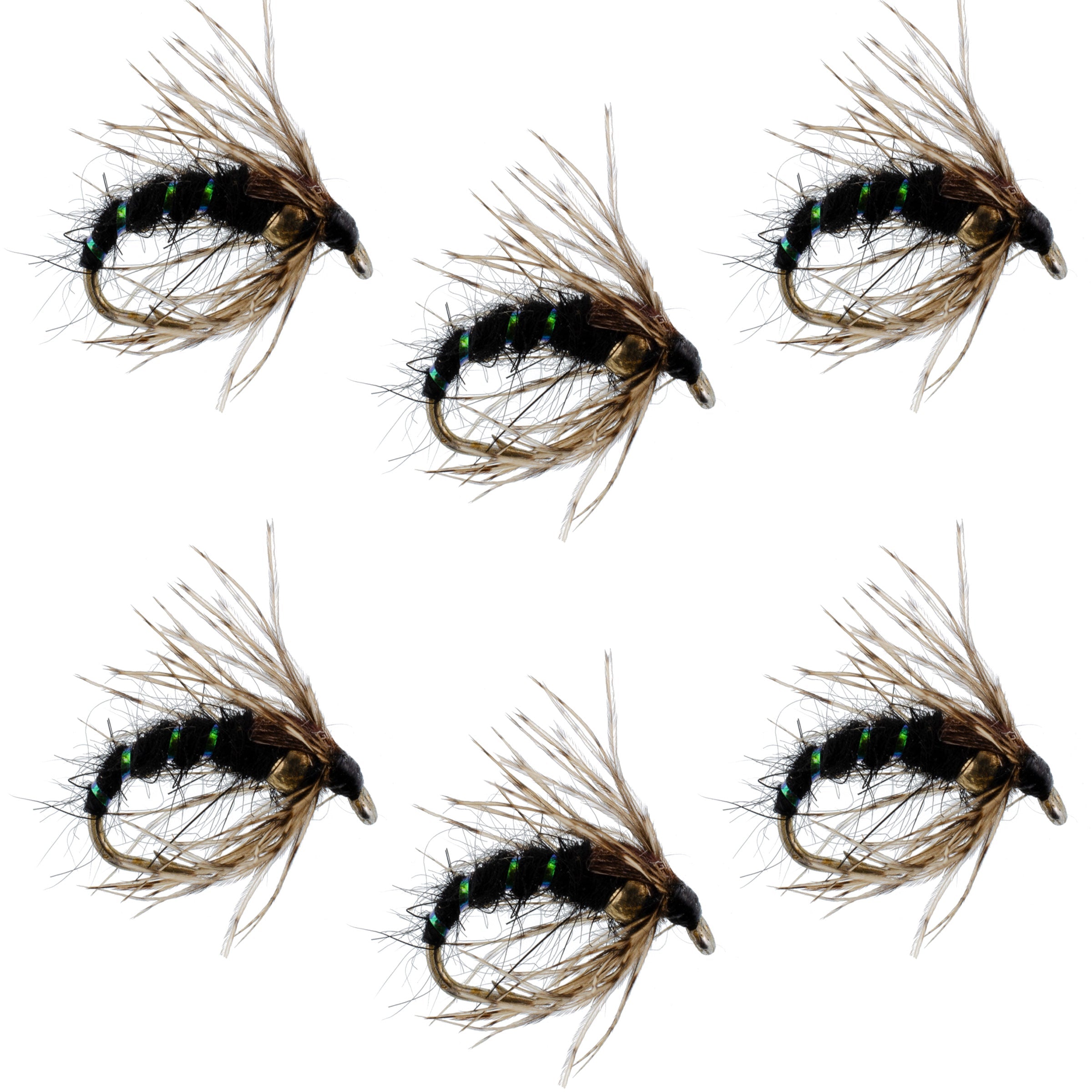 Black Holy Grail Caddis Pupa Emerger 6 Flies Hook Size 16