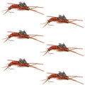 Tungsten Bead Kaufmann's Brown Stone Fly with Rubber Legs - Stonefly Wet Fly - 6 Flies Hook Size 10