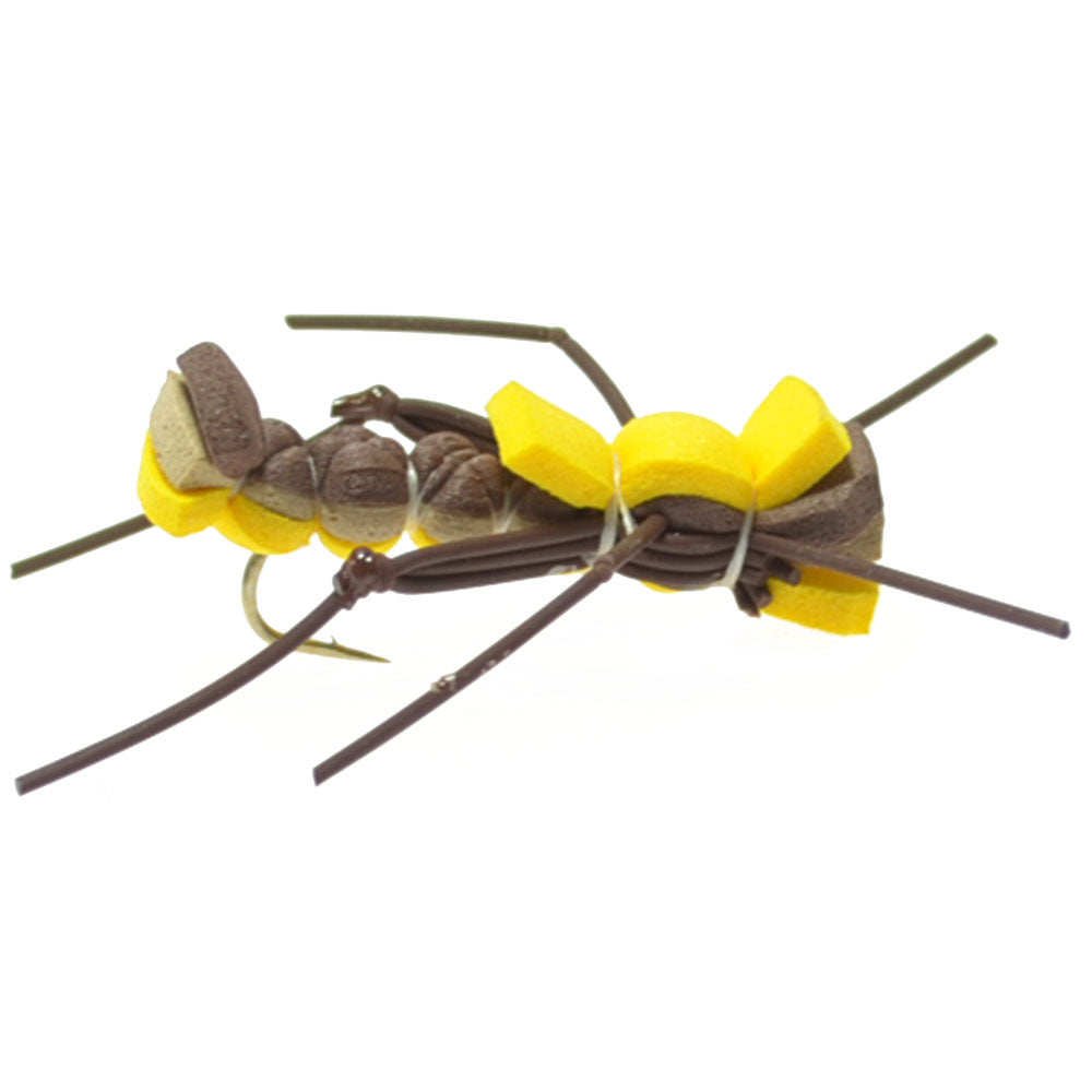 Trout Fly Assortment - Essential Terrestrials Fly Fishing Flies Collection - Includes Foam Hoppers, Ants, Beetles, and Cicadas - 1 Dozen Trout Flies with Fly Box