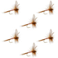 Pink Lady Classic Dry Fly - 6 Flies Size 14