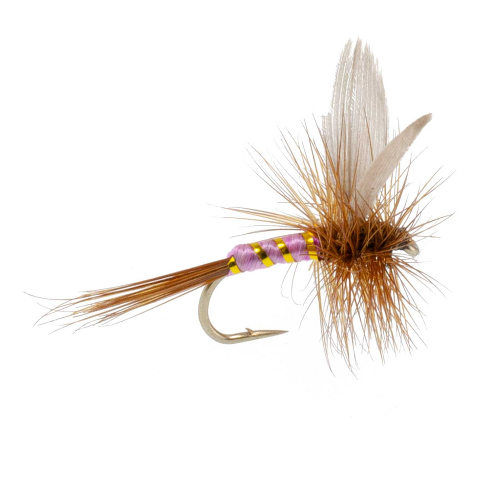 Pink Lady Classic Dry Fly - 6 Flies Size 16