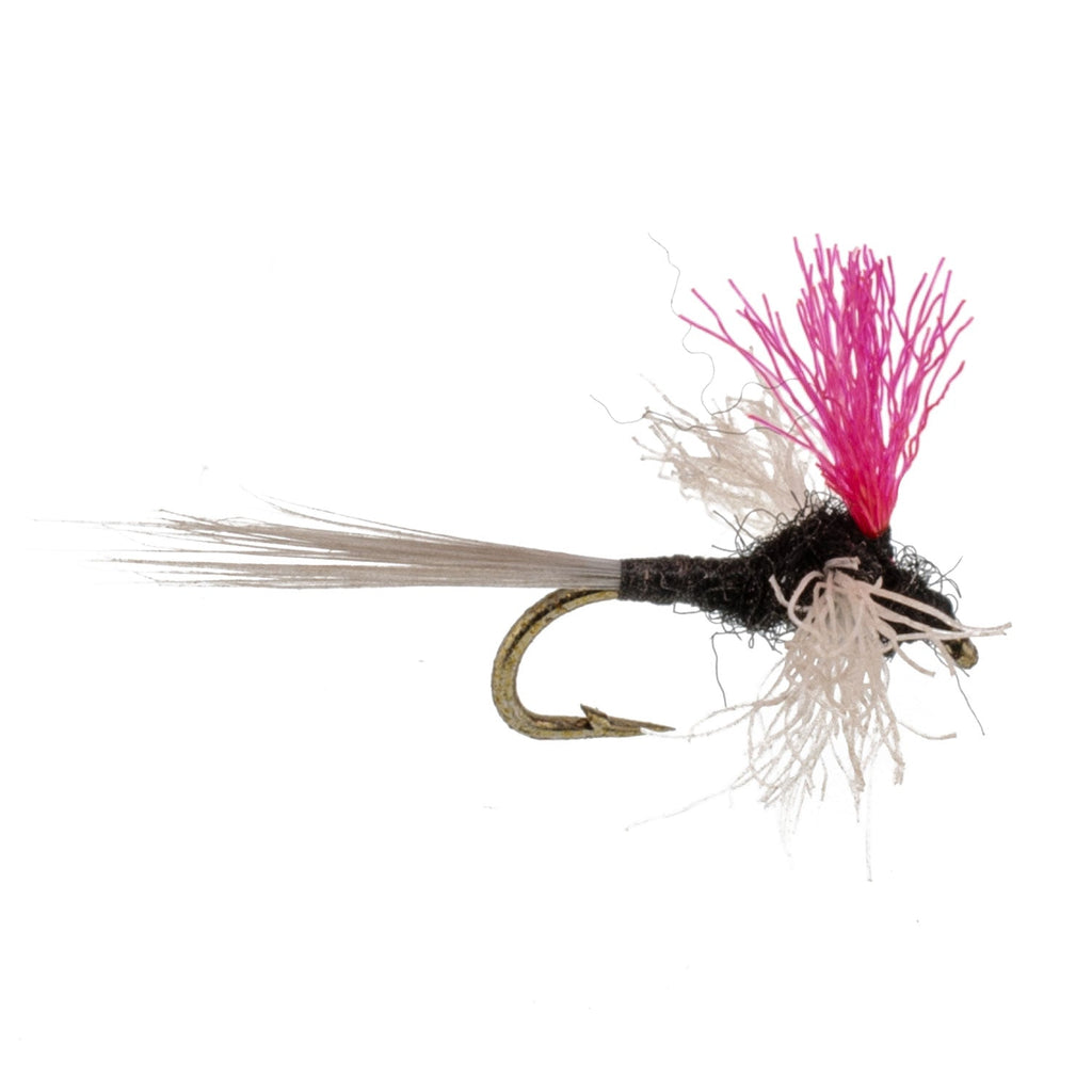 Trico Spinner High Visibility Pink Post 12 Flies Hook Size 20