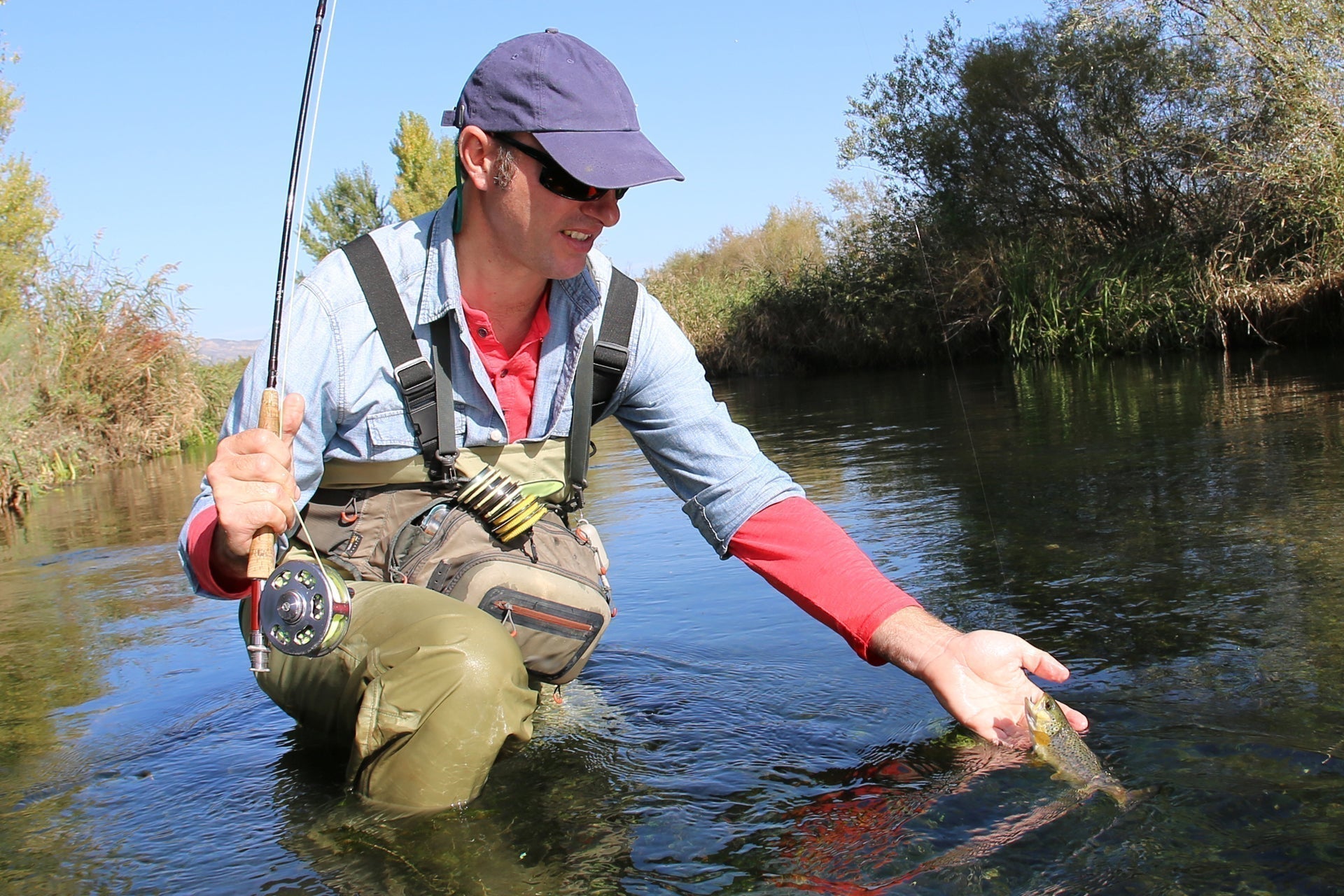 Adams Irresistible Classic Dry Fly - 6 Flies Hook Size 12
