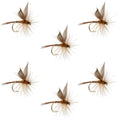 Red Quill Classic Dry Fly - 6 Flies Size 14