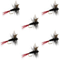 Red-Tailed Black Gnat Classic Dry Fly - 6 Flies Size 18