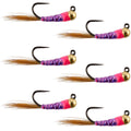Tungsten Hot Spot Purple Perdigon Tactical Euro Nymph Fly - 6 Flies Size 16