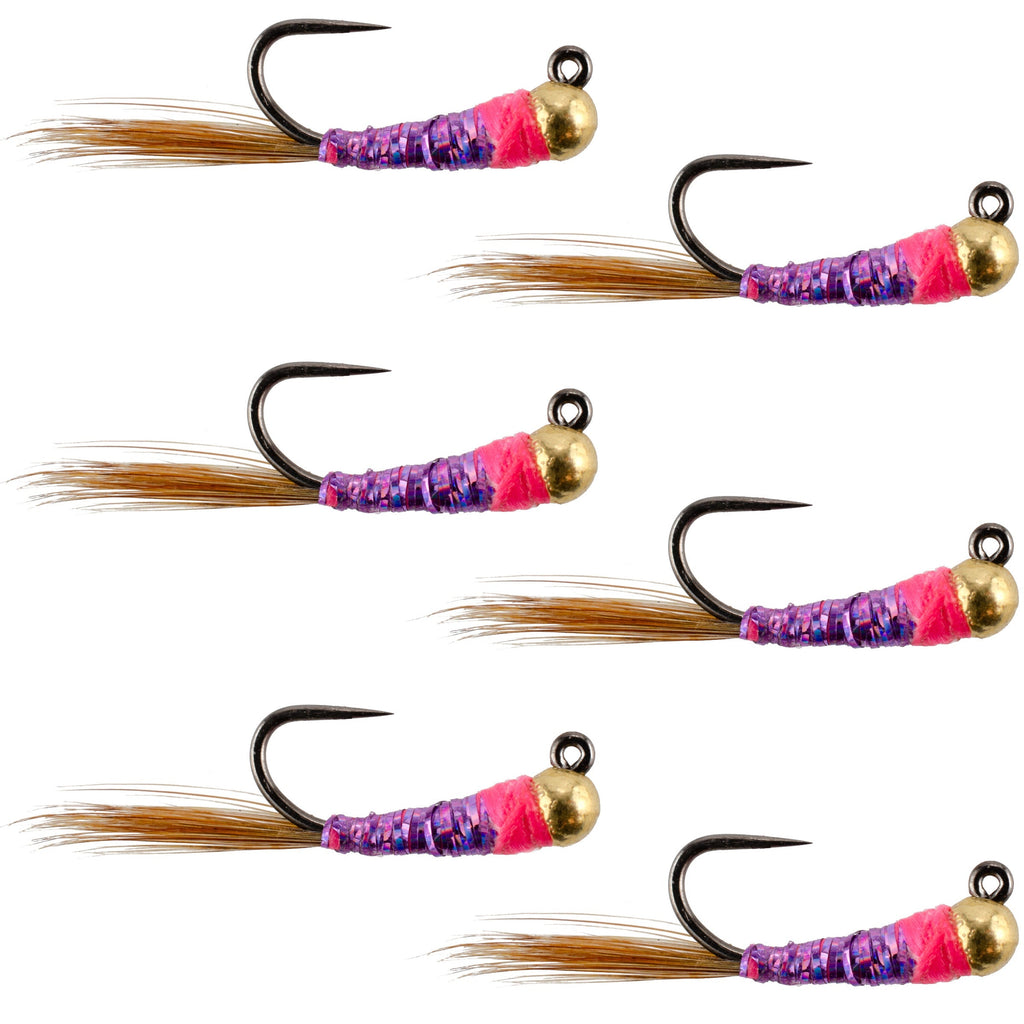 Tungsten Hot Spot Purple Perdigon Tactical Euro Nymph Fly - 6 Flies Size 14
