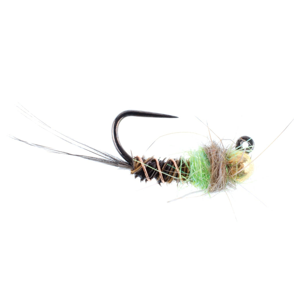 Tungsten Soft Hackle Pheasant Tail Tactical Euro Jig - 12 Flies Size 14