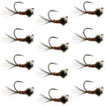 Tungsten Pheasant Tail Tactical Czech Nymph Euro Jig - 12 Flies Size 14