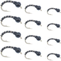 Black Zebra Midge Assortment - Black Bead Head - 1 Dozen - 4 Each of 3 Sizes 14, 16, 18 - Tailwater and Lake Fly Fishing Flies Assortment