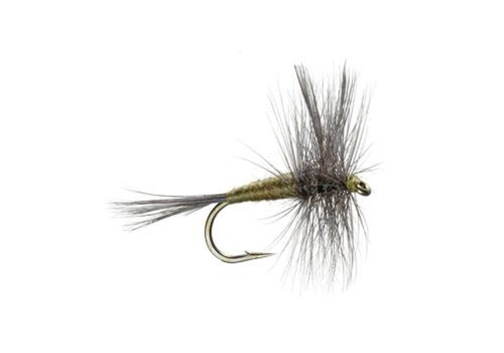 Blue Winged Olive BWO Trout Dry Fly Fishing Flies - 6 Flies Size 20