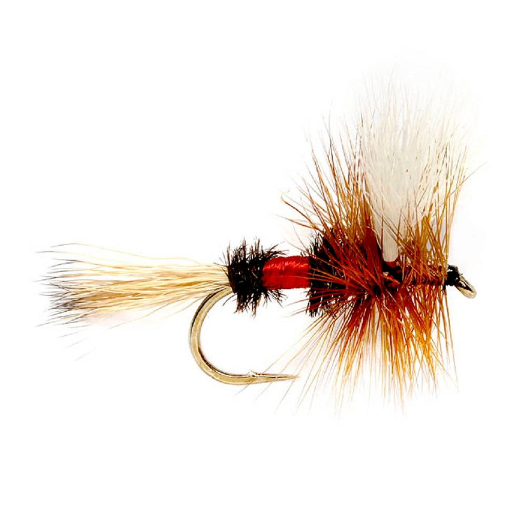 Barbless Royal Wulff Classic Hair Wing Dry Fly - 6 Flies Hook Size 16